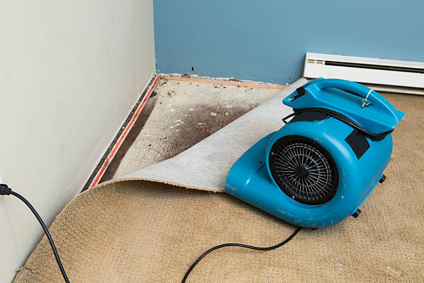 Water damage restoration mold remediation in Marlborough, MO